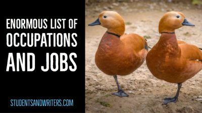 Read more about the article Enormous list of occupations and  jobs 