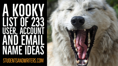 Read more about the article A kooky list of 233 user, account and email name ideas