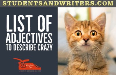 Read more about the article List of adjectives to describe crazy