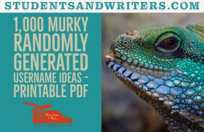 Read more about the article 1,000 Murky Randomly Generated Username Ideas